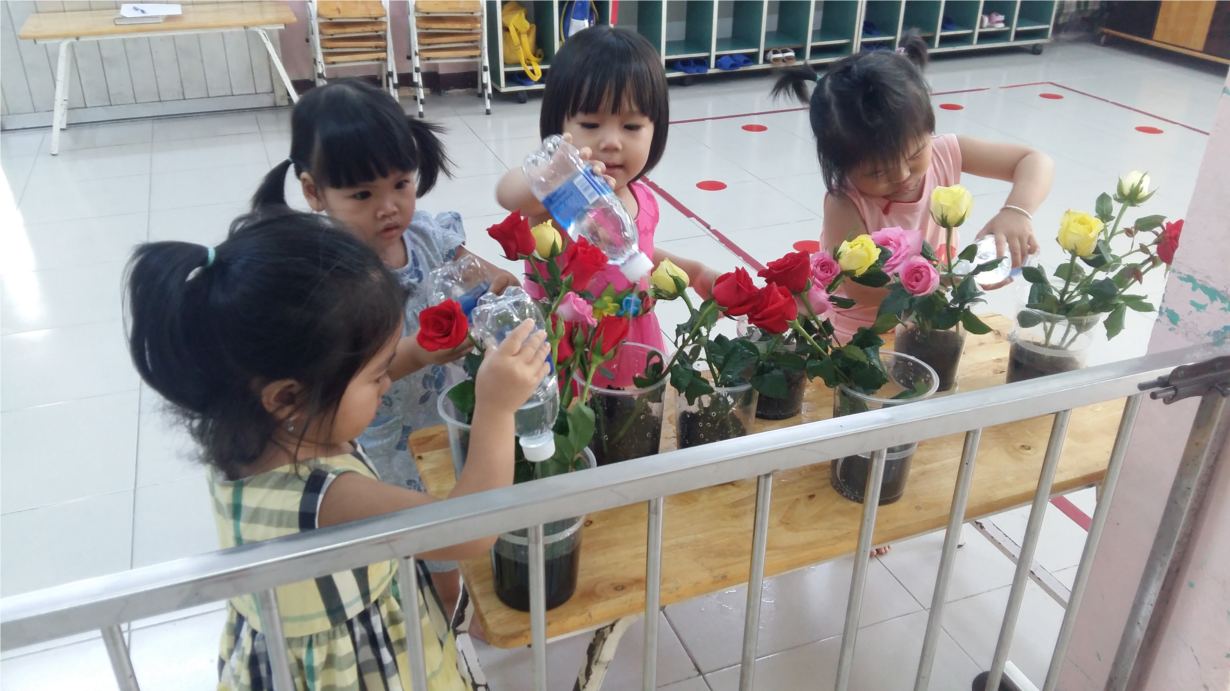 20181109_084953.jpg